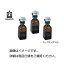 その他 (まとめ)セーフティボトル100ml【×30セット】 ds-1594048