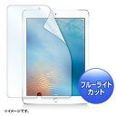 その他 (まとめ)サンワサプライ 9.7インチiPad Pr...