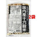 種商 国内産十六穀米 業務用 500g*2コセット 24135【納期目安:2週間】