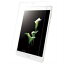 その他 (まとめ)BUFFALO バッファロー BSTPZ500FT Zenpad 3s 10 Z500シリーズ専用 指紋防止液晶保護フィルム スムースタッチタイプ【×2セット】 ds-2191757