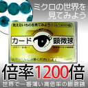 日本ヒロソフ　カード顕微球　1200倍　CLC8001 【メール便専用】
