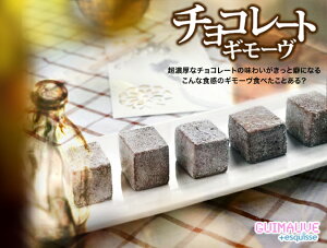 50万個以上完売！！ギモーヴ チョコレートラバーズ 5個セット生マシュマロ ギフト プチギフト お返し スイーツ