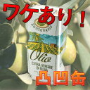 【アウトレット・訳あり】 サンタンジェロ エキスト