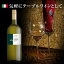 【よりどり6本以上、送料無料】 1500ml Montelibero Trebbiano del Rubicone | マグナム モンテリーベロ トレッビアーノ デル ルビコーネ エミリア ロマーニャ州 白ワイン トレッビアーノ、他 大容量 イタリア 料理酒 調理酒
ITEMPRICE