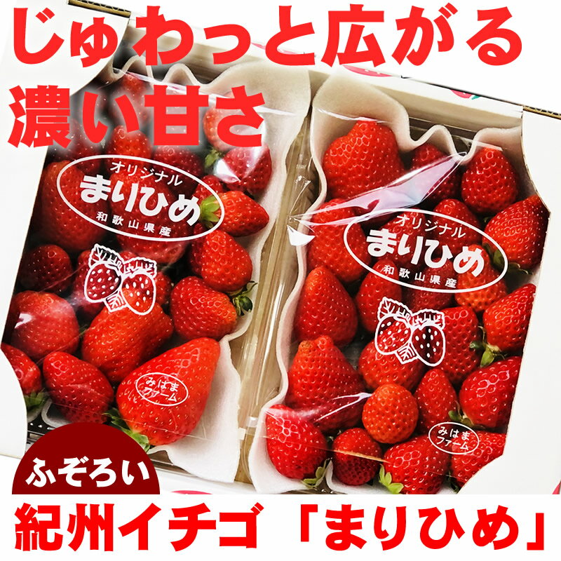 テレビでも話題!和歌山オリジナル品種★『紀州イチゴ「優品まりひめ」』【こだわり】【甘い】【イチゴ】【いちご】【減農薬】【低温栽培】【まりひめ】【優品】【宅配便専... ランキングお取り寄せ