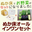 ★送料無料★野菜とぬか床が一緒!『ぬか床オールインワンセット...