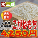 23年産太三郎米こがねもち白米10kg【smtb-TD】【tohoku】【送料無料】【2sp_120720_a】【SBZcou1208】10P3Aug12【送料無料】