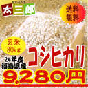 平成24年度福島県産　コシヒカリ玄米30kg10P21Sep12玄米30kgまたは白米27kgお選びいただけます≪精米無料≫