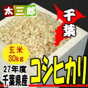 【27年度産】千葉県産　コシヒカリ 玄米30kg【smtb-TD】【tohoku】【送料無料】 ランキングお取り寄せ