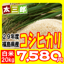 平成29年度 福島県産 コシヒカリ 米 20kg【送料無料】...