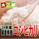 平成29年度 福島県産 コシヒカリ 米10kg(5kg×2袋...