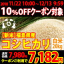 【新米】平成30年度 福島県産コシヒカリ 米20kg(5kg...