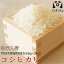 【新米】令和2年度福島県産　太三郎米コシヒカリ白米10kg（5kg×2袋）送料無料 米