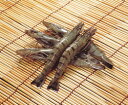 ブラックタイガー有頭30尾1.3kg 輸入 エビ 魚介類食材 【価格変動商品】【冷凍食品】【業務用食材】【10800円以上で送料無料】