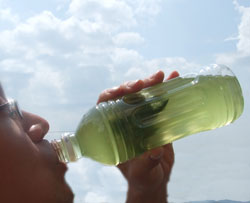 ペットボトル用ティーパック3袋セット【送料無料】うまい、安い、簡単に緑茶ペットボトルが作れちゃうティーパック！