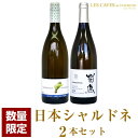 日本ワイン 白ワイン 菊鹿シャルドネ 熊本県 熊本ワインファーム 750ml & アルカンヴィーニュ シャルドネ 長野県 アルカンヴィーニュ 2018年 750ml 飲み比べ セット 無濾過 辛口