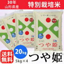 【白米】30年山形県産特別栽培米つや姫 20kg(5kg×4...