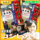 無洗米 特A 福井 コシヒカリ 29年産 10kg