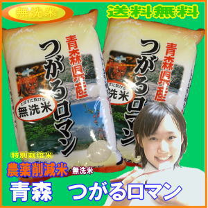 【減農薬米】送料無料　【無洗米】つがるロマン　10kg （5kg×2）【2P123Aug12】