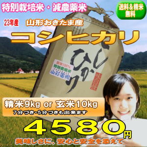 【特別栽培米】送料無料 山形県米沢置賜産　コシヒカリ　精米9kg or 玄米10kg　【2P123Aug12】