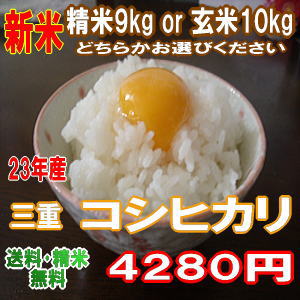 【送料無料】三重県産　コシヒカリ　玄米10kg or精米9kg　（5kg×2） 