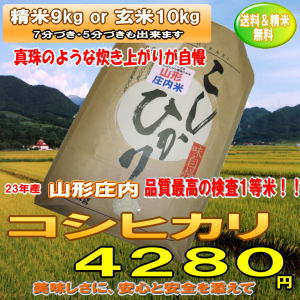 【送料無料】山形コシヒカリ庄内産　精米9kg or 玄米10kg　