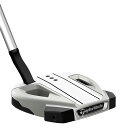 テーラーメイド ゴルフ スパイダー EX プラチナム/ホワイト フローネック パター/Super Stroke Pistol GTR 1.0