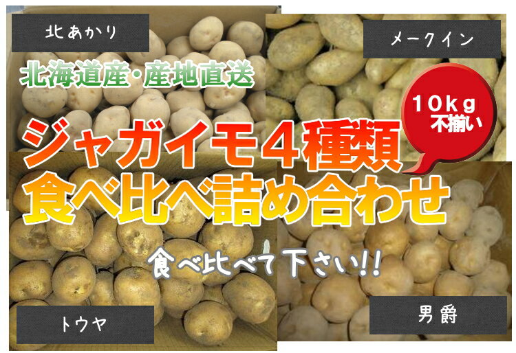 【送料無料】北海道産　産地直送　ジャガイモ4種類食べ比べ詰め合わせセット　10kg　不揃い　 02P4Jul12【RCPmara1207】