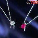 高島屋 プラチナ 0.5ct ダイヤ ペンダント & 0.5ct ルビー ペンダント セット / ネックレス レディース 大粒 ダイヤモンド シンプル 百貨店 ジュエリー アクセサリー 誕生日 記念日 ギフト / プレゼント にもおすすめ【TBSショッピング】