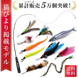 ＼楽天ランキング1位／ 【猫びより掲載モデル】 猫じゃらし ねこじゃらし 猫用おもちゃ 猫のおもちゃ 猫 ねこ ネコ 羽根 鈴 おもちゃ <strong>釣り竿</strong> 猫用品 ペット用品 猫おもちゃ ストレス解消 運動不足解消 コンパクト 鳥の羽 鳥のハネ 頑丈 猫じゃらし