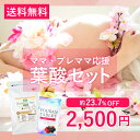 春のママ・プレママ応援 葉酸セット 葉酸ルイボスティー+葉酸...