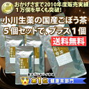 小川生薬の国産ごぼう茶★FRaUフラウ9月号掲載品★5個セット+1個無料サービス※レビュー書き込んで頂いた方に5パック増量キャンペーン実施中皮ごと自社焙煎。5個の値段で6個購入！