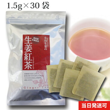 【DM便送料無料】 小川生薬 生姜紅茶 1.5g×30袋 テトラバッグ