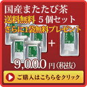 小川生薬の国産またたび茶5個セット90g(30袋)無漂白ティーバッグ使用送料無料さらにもう1個プレゼント【当日発送可】※13時以降のご注文は翌日になります。