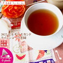 紅茶 ティーバッグ 10個 ニルギリ クインショーラ茶園 セカンド FOP 175/2022 【送料無料】 紅茶専門店