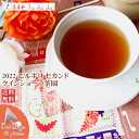 紅茶 ティーバッグ 40個 ニルギリ クインショーラ茶園 セカンド FOP 175/2022 【送料無料】 紅茶専門店