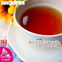 紅茶 ティーバッグ 10個 キャンディ ナヤパナ茶園 BOPA/2022【送料無料】 セイロン メール便 紅茶専門店