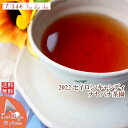 紅茶 ティーバッグ 40個 キャンディ ナヤパナ茶園 BOPA/2022【送料無料】 セイロン メール便 紅茶専門店