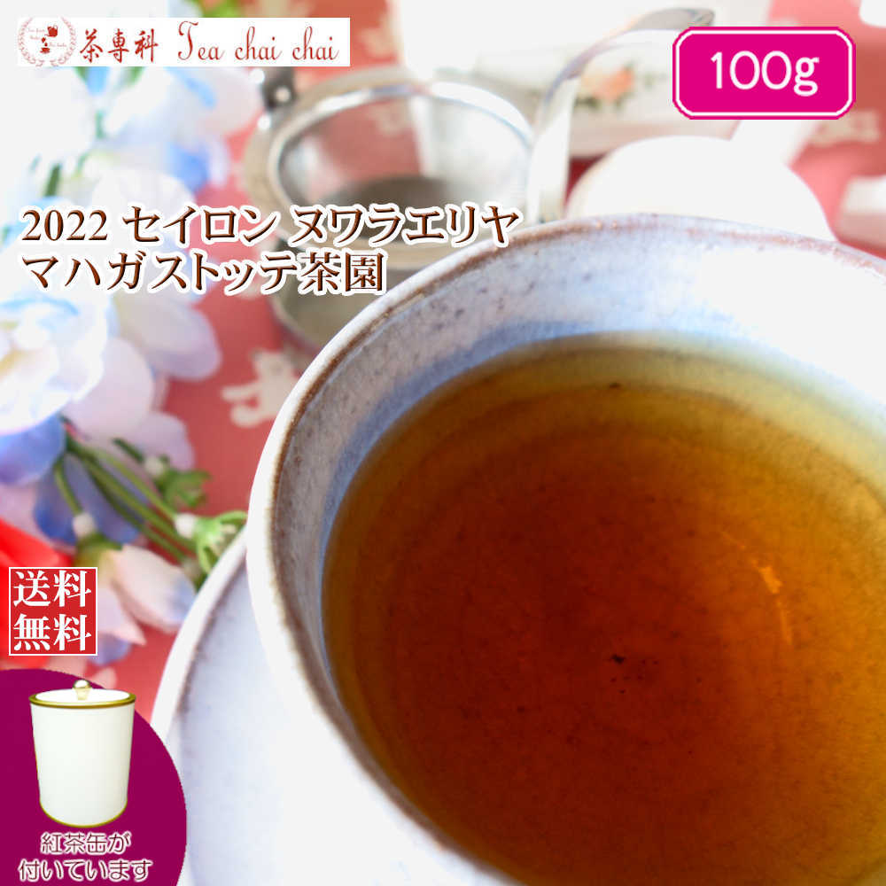 紅茶 茶葉 茶缶付 ヌワラエリヤ マハガストッテ茶園 BOPA/2022 100g【送料無料】 セイロン メール便 紅茶専門店