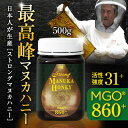 マヌカハニー 楽天最高峰【 活性強度31+ 以上】【 MGO...