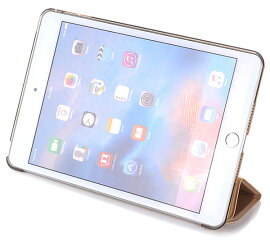 ipad1066