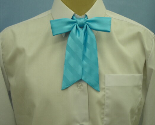 ʥܥ󥪥ꥸʥǥ󡢥֥롼ȥ饤