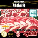 【焼肉用】天然ジビエ イノシシ肉 猪肉 国産 島根 500g...
