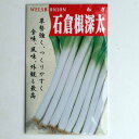 在来種/固定種/野菜のタネ「「石倉根深太ネギ5ml(約900粒)」畑懐〔はふう〕の種【メール便可】