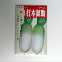 在来種/固定種/野菜のタネ「源助大根5ml(約200粒)」畑懐〔はふう〕の種【メール便可】