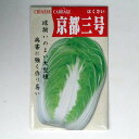 在来種/固定種/野菜のタネ「京都三号白菜5ml(約800粒)」畑懐〔はふう〕の種【メール便可】