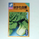 在来種/固定種/野菜のタネ「はかた白菜(半結球)5ml(約1500粒)」畑懐〔はふう〕の種【メール便可】