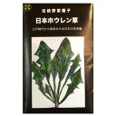 在来種/固定種/野菜のタネ「日本ホウレン草50ml(約1600粒)」畑懐〔はふう〕の種【メール便可】