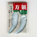 在来種/固定種/野菜のタネ「方領大根5ml(約180粒)」畑懐〔はふう〕の種【メール便可】