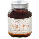 梅醤〔うめしょう〕エキス 濃縮番茶&生姜入り 250g...